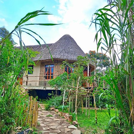 Chimpanzee Capital Safari Lodge Bigodi Exteriör bild