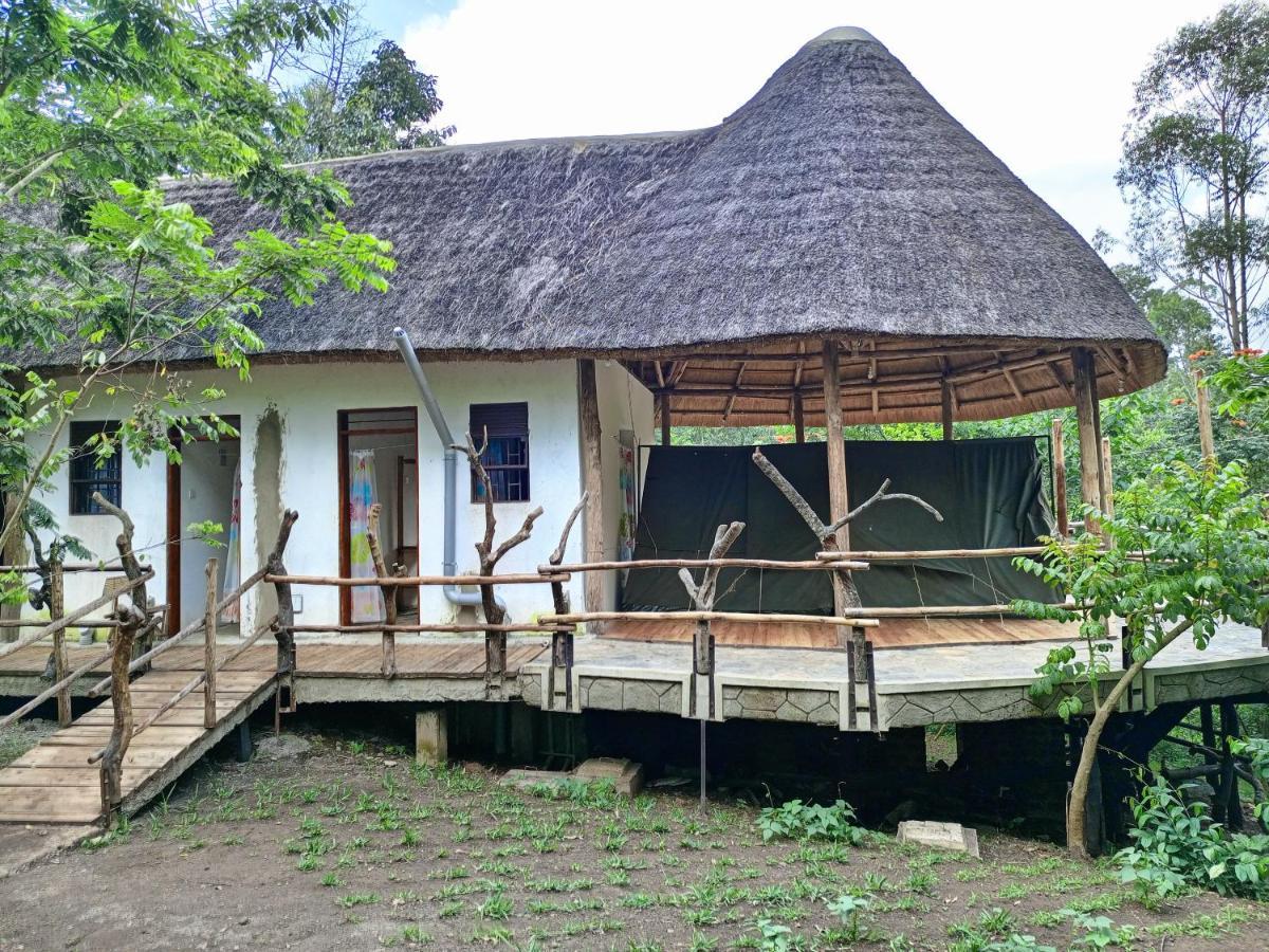 Chimpanzee Capital Safari Lodge Bigodi Exteriör bild