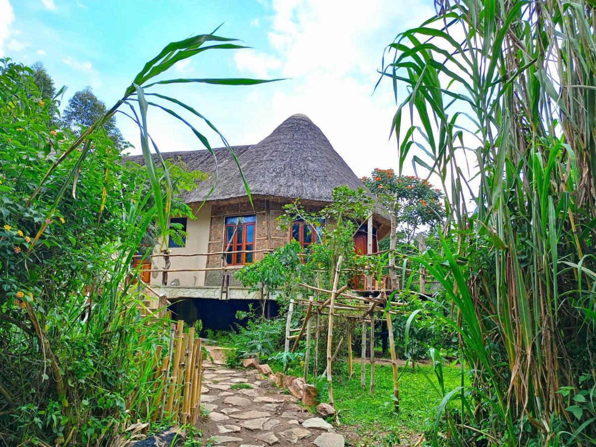 Chimpanzee Capital Safari Lodge Bigodi Exteriör bild