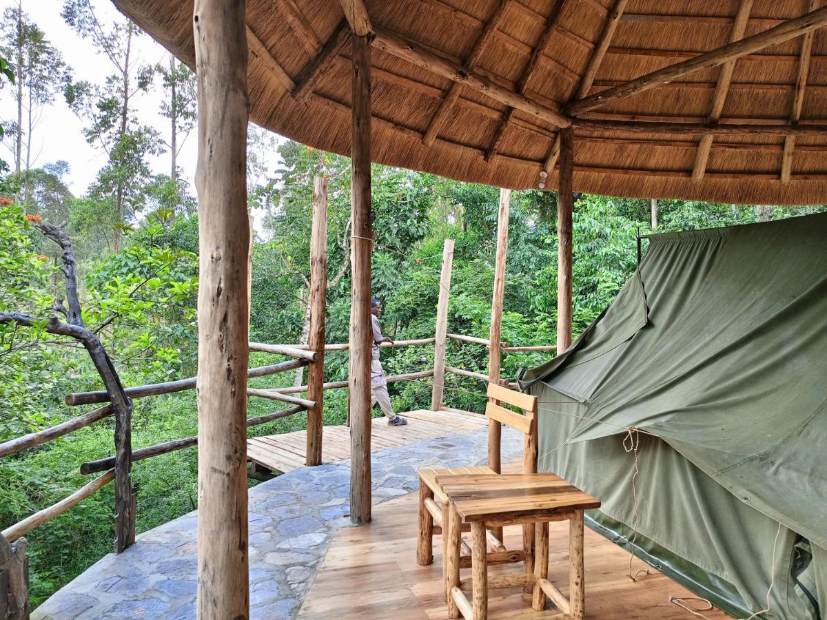 Chimpanzee Capital Safari Lodge Bigodi Exteriör bild