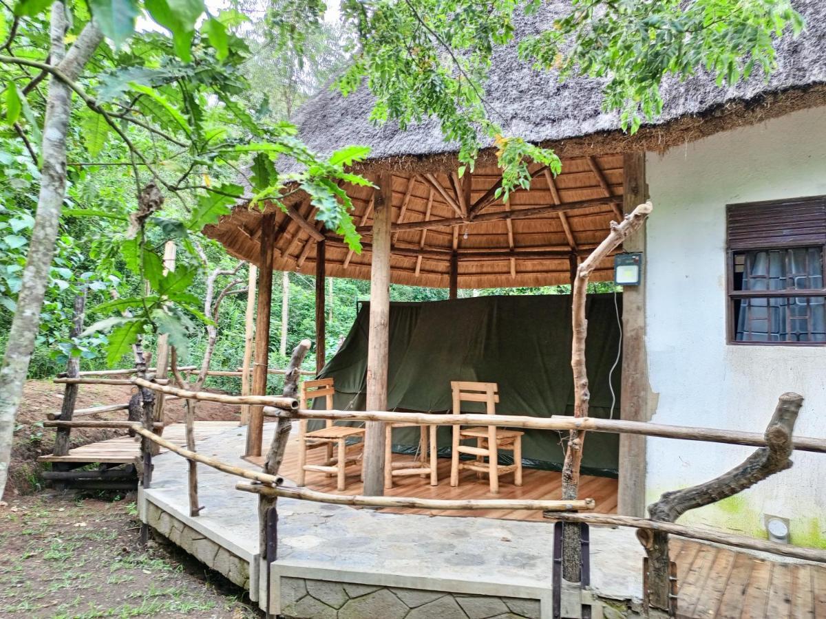 Chimpanzee Capital Safari Lodge Bigodi Exteriör bild