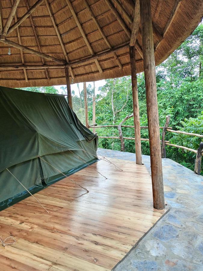 Chimpanzee Capital Safari Lodge Bigodi Exteriör bild