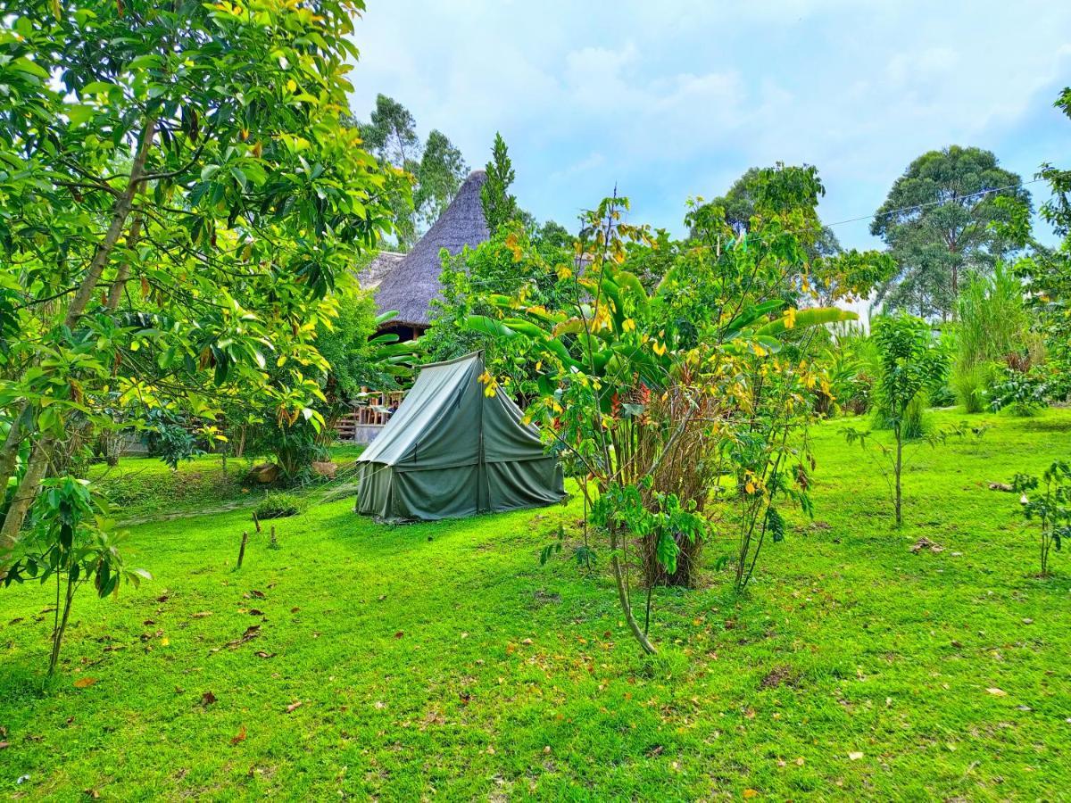 Chimpanzee Capital Safari Lodge Bigodi Exteriör bild