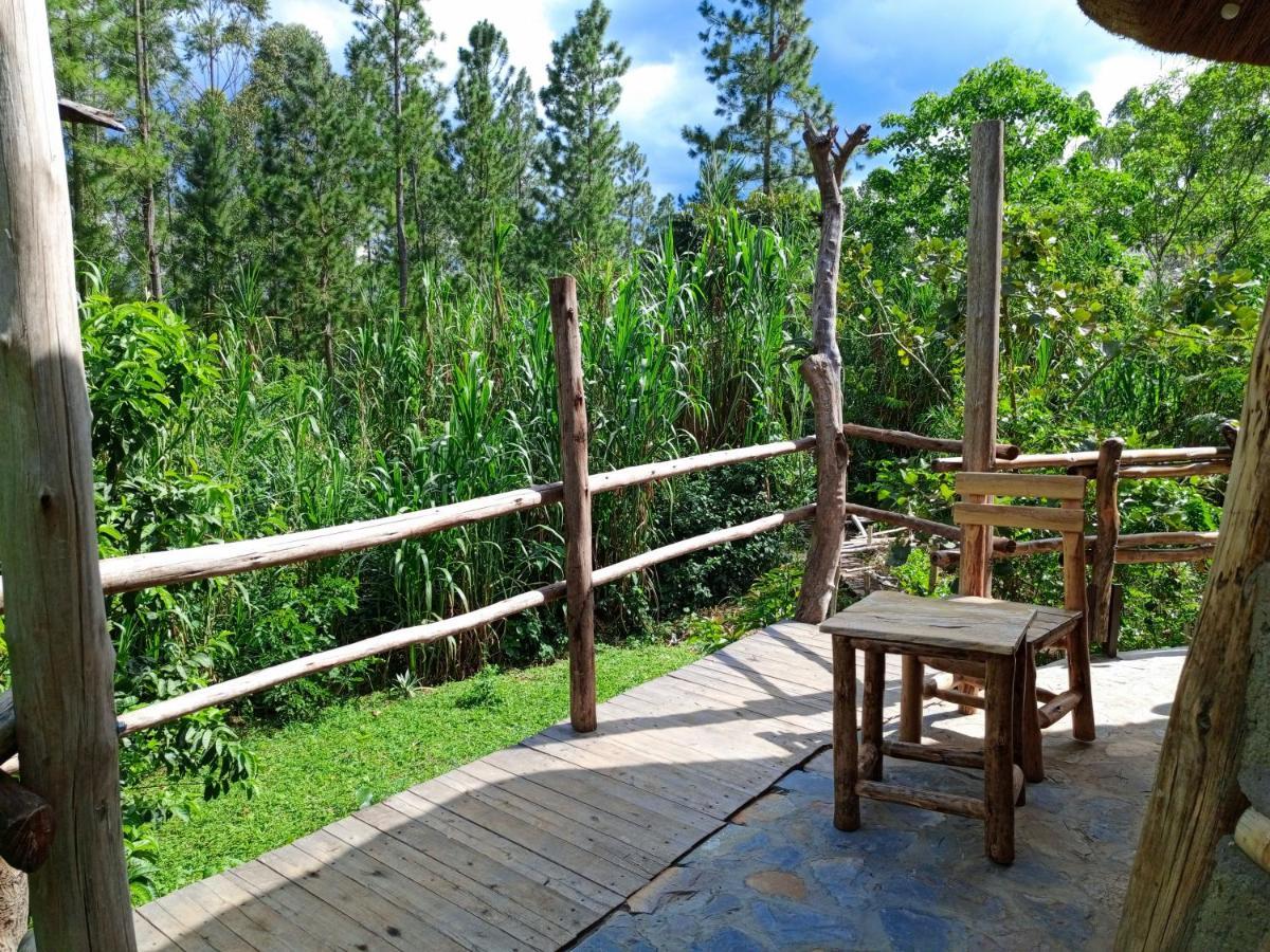 Chimpanzee Capital Safari Lodge Bigodi Exteriör bild