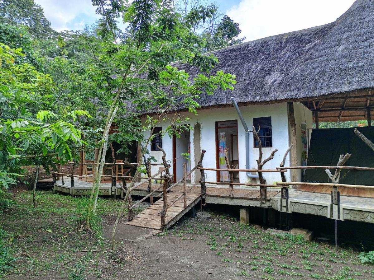 Chimpanzee Capital Safari Lodge Bigodi Exteriör bild
