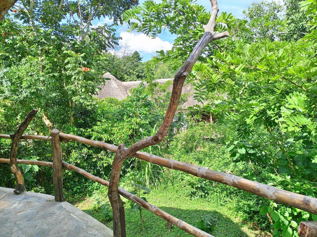 Chimpanzee Capital Safari Lodge Bigodi Exteriör bild