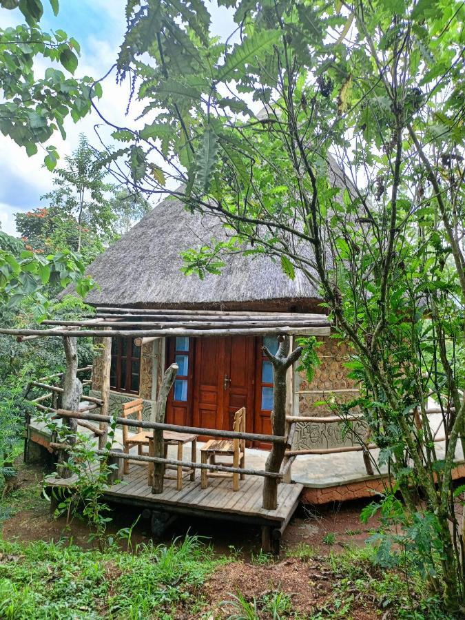 Chimpanzee Capital Safari Lodge Bigodi Exteriör bild
